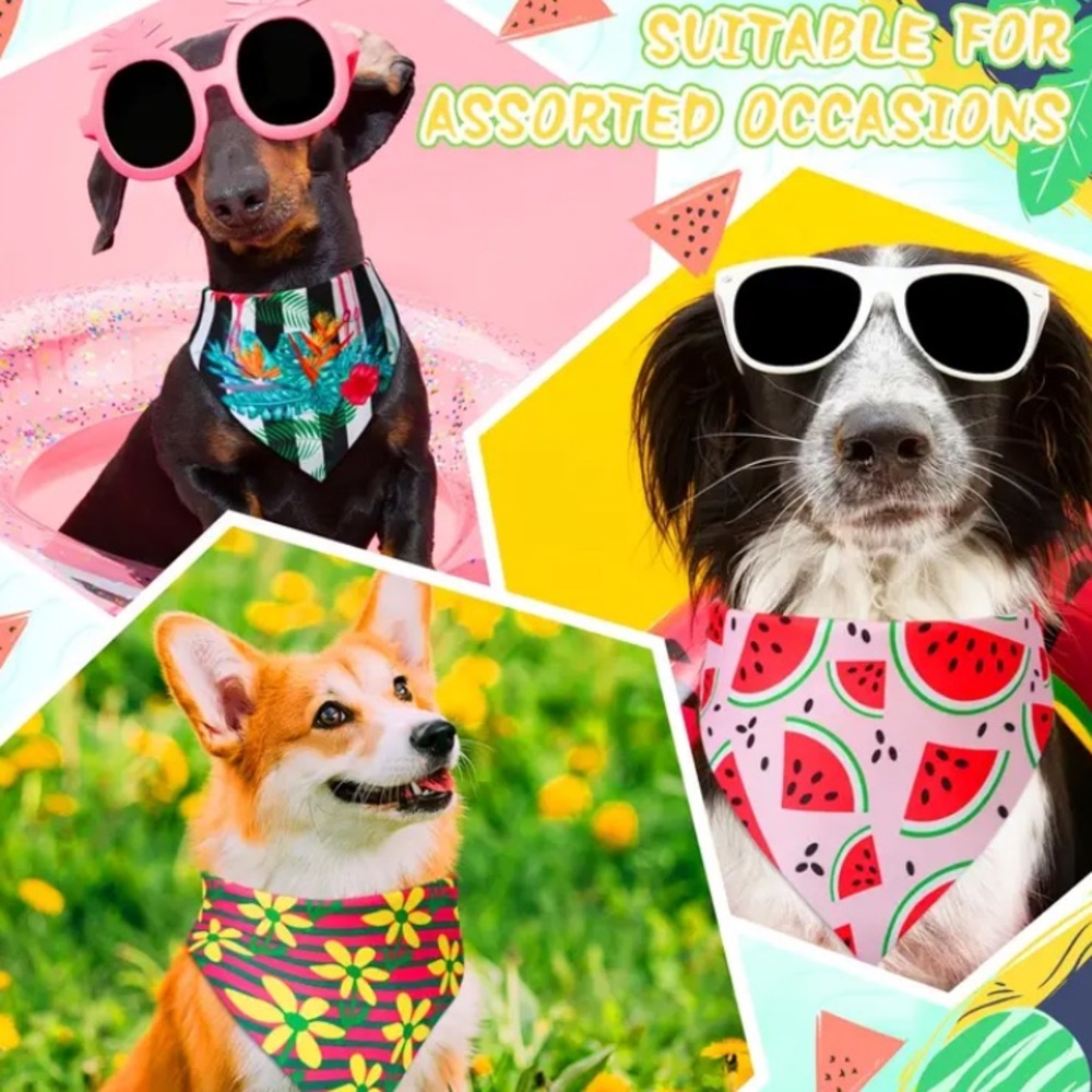 Female Pet Bandanas - 5 pack